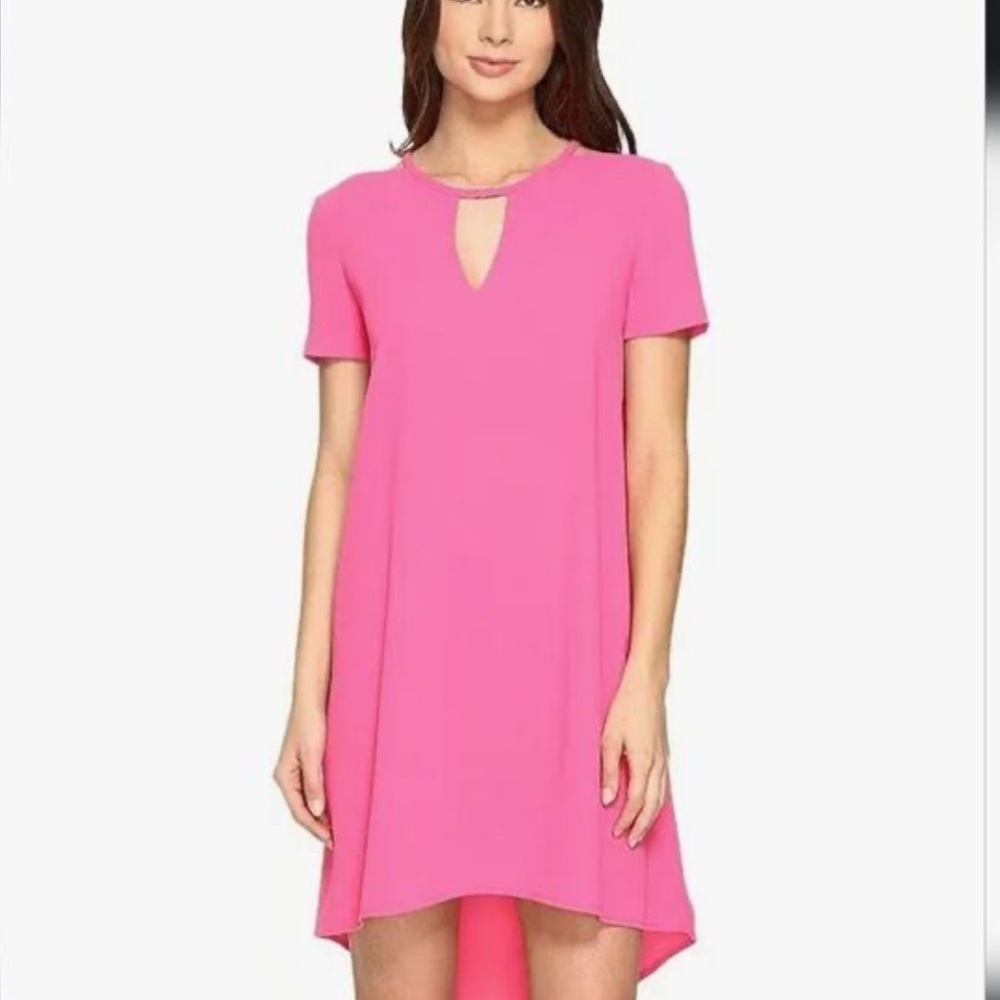 Trina Turk Floramaria Swing Pink High Low Dress